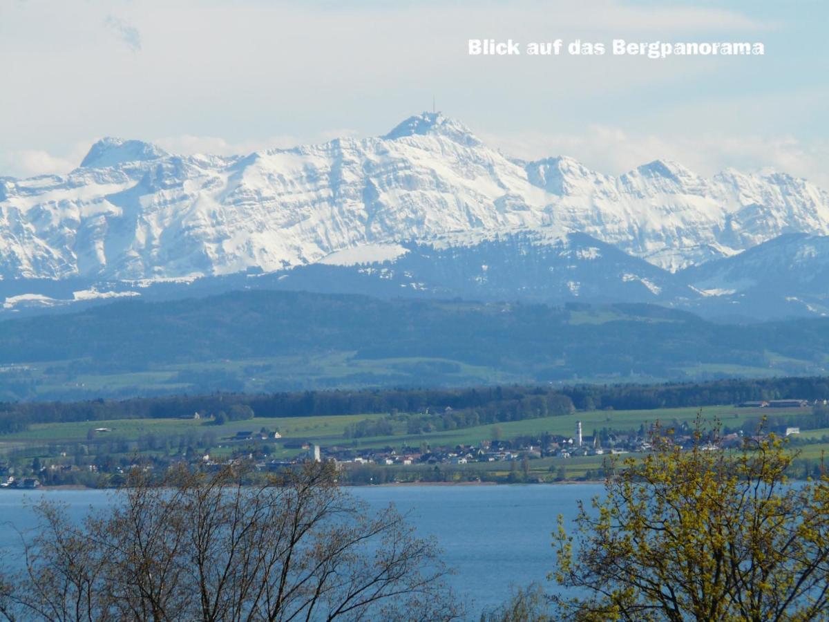 Ferienwohnung Seaview Meersburg Bagian luar foto