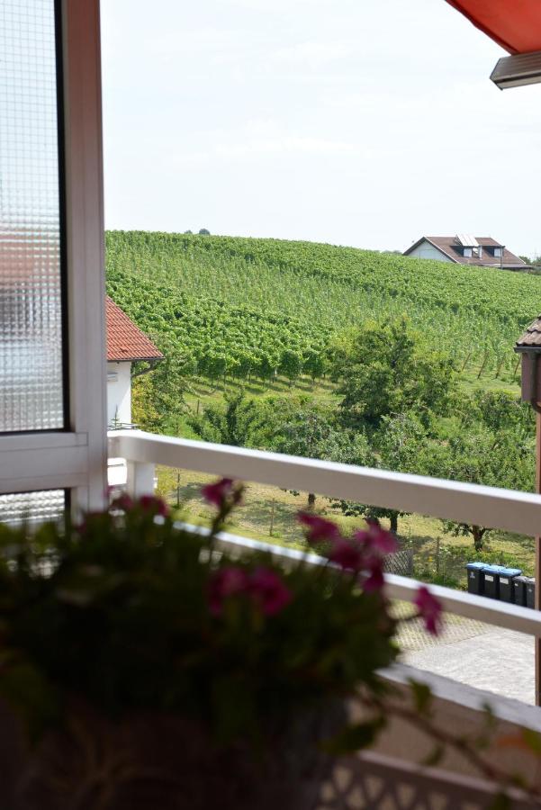 Ferienwohnung Seaview Meersburg Bagian luar foto